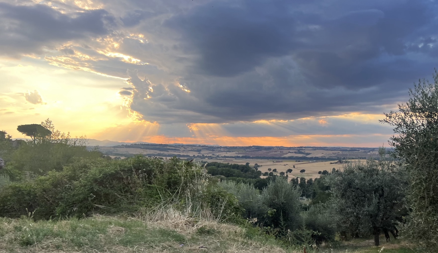 Sunset light over a natural landscape photographed by Jennie